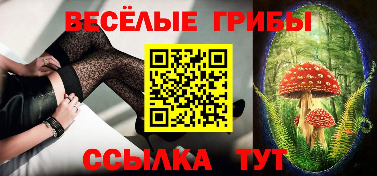 Псилоцибиновые грибы Cubensis Выборг